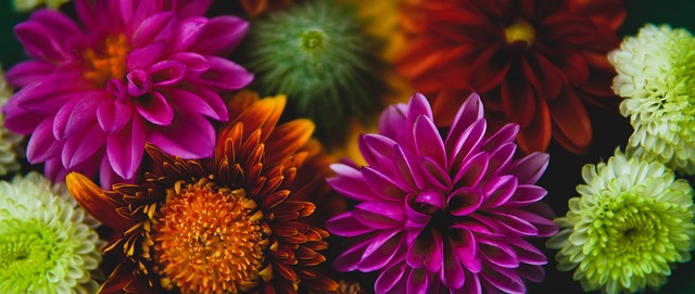 更体现了球 更体现了球