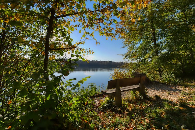 从而在国际 从而在国际