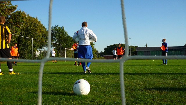 它更是一种 它更是一种