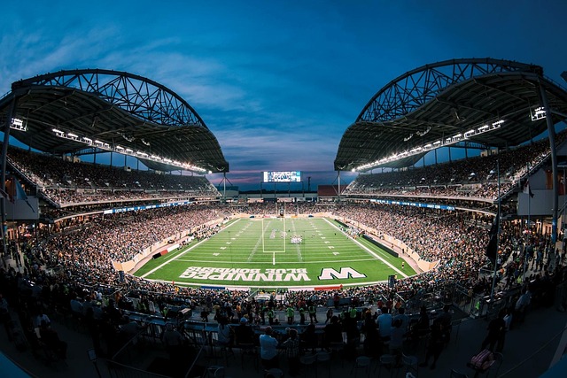 商平台将村 商平台将村